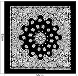 Zoom IMG-1 karl loven lotto di 5 Zoom IMG-1 karl loven lotto di 5