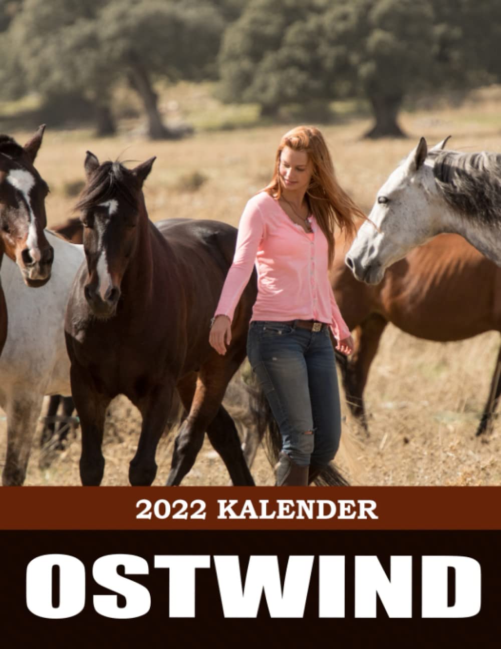 Ein tolles Geschenk für Fans, die den oѕтwιnd-Film lieben, um ein neues Jahr zu begrüßen | Calendario Kalender Kalender Kalender 2022 | BONUS 4 Monate 2023 | Mond Phase: oѕтwιnd Kalender 2022