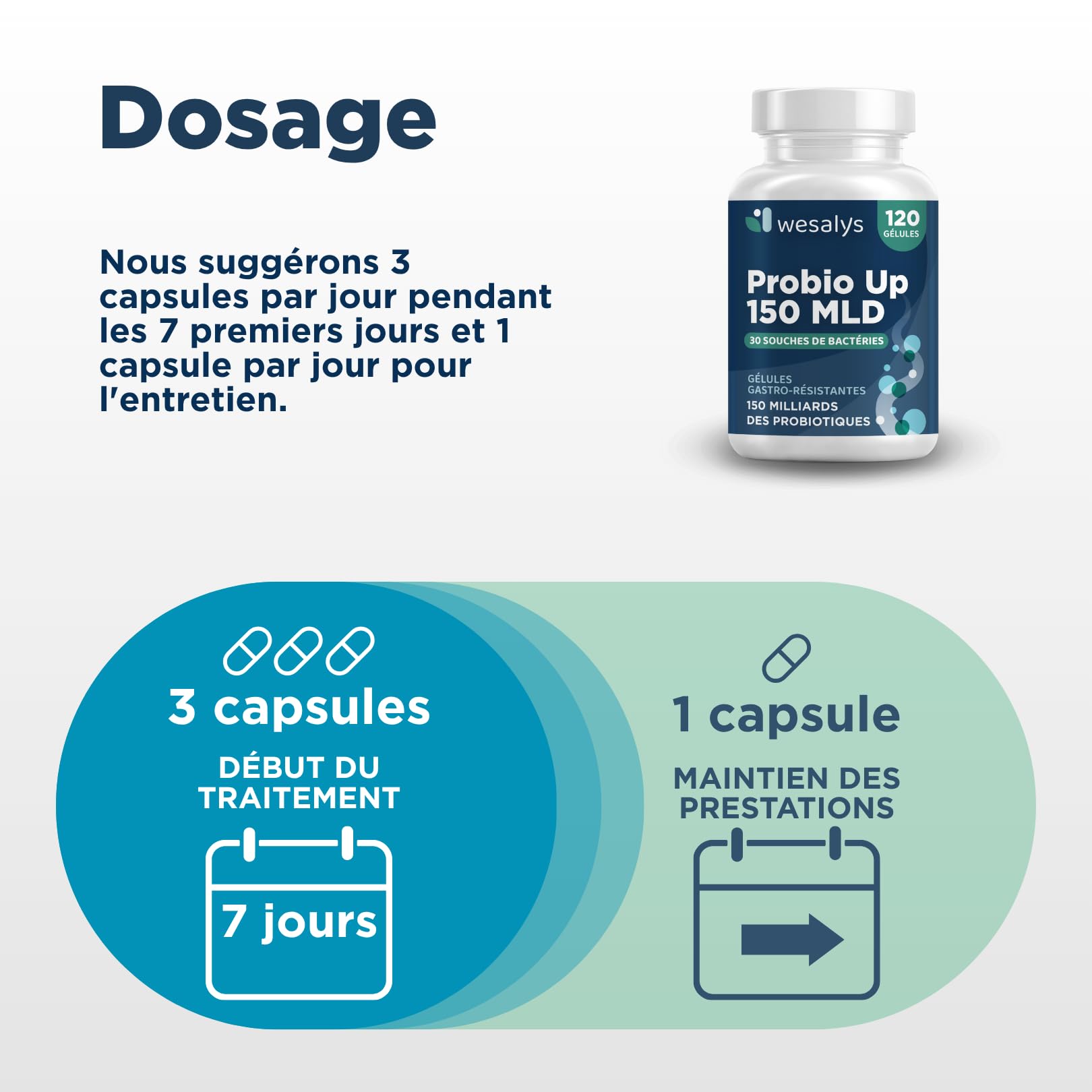 Probiotique flore intestinale - 150 Milliards UFC/Jour - 30 souches bactériennes, 120 Gélules Gastro-résistantes. Probiotiques et prebiotique, lactobacillus gasseri, Bifidobactéries, Inuline. Probio U