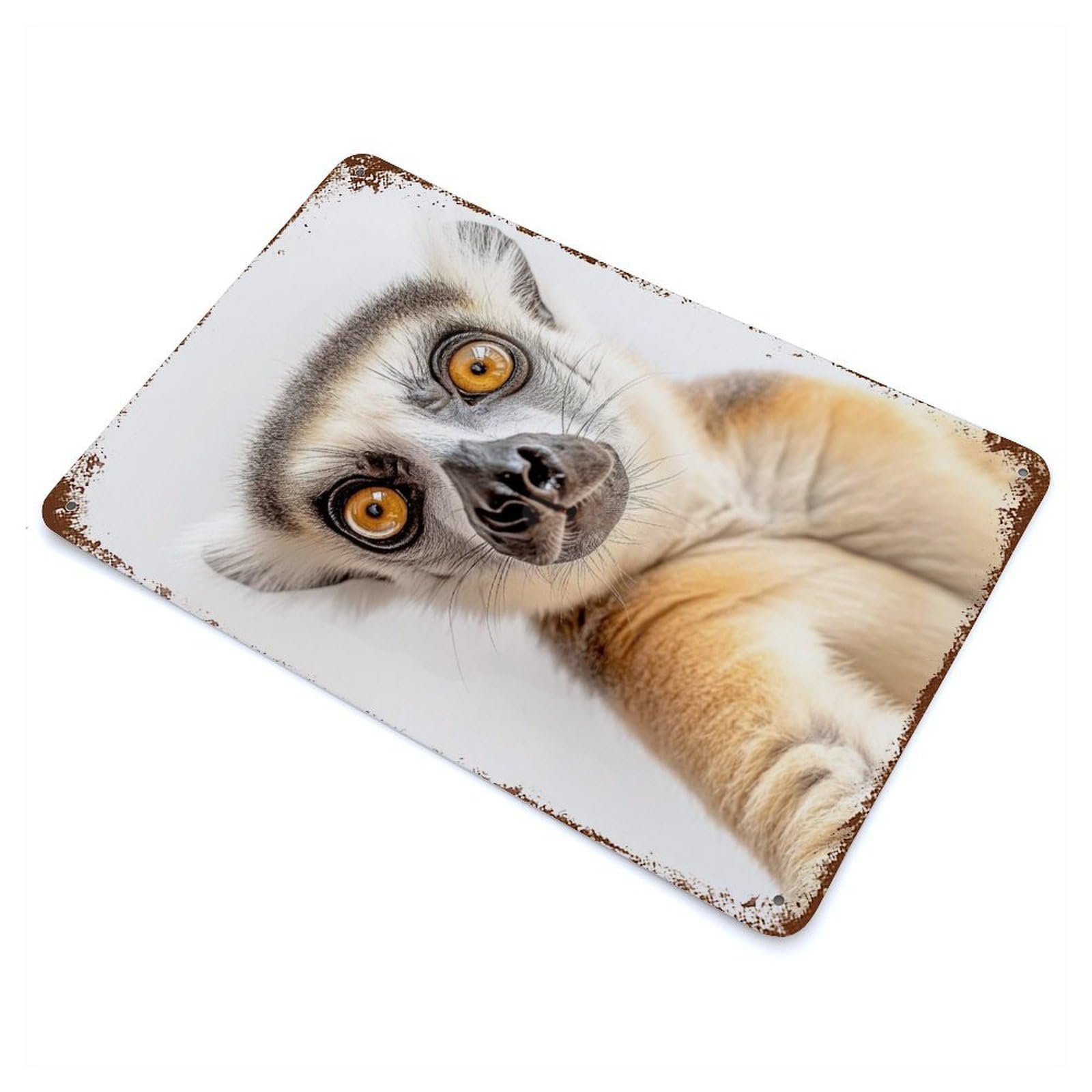 Garage Style Curious Ring-tailed Lemur Selfie Distressed Metal Wall Sign 11.8"x7.9", Novelty Wall Decor for Bar And Workshop