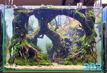 水槽用流木レイアウト。、 盆栽流木 水草用の流木.流木 アクアリウム 盆栽流木 魚の水槽、水草用の 流木。流木アクアリウム