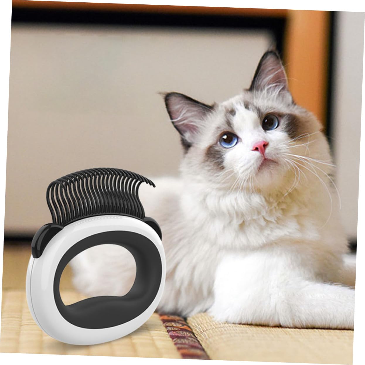 FRCOLOR 5piezas Cepillo Para Gatos Dientes Peine Para Eliminar Pelo De Para Gatos y Gatitos Cuidado Del Pelaje Casa