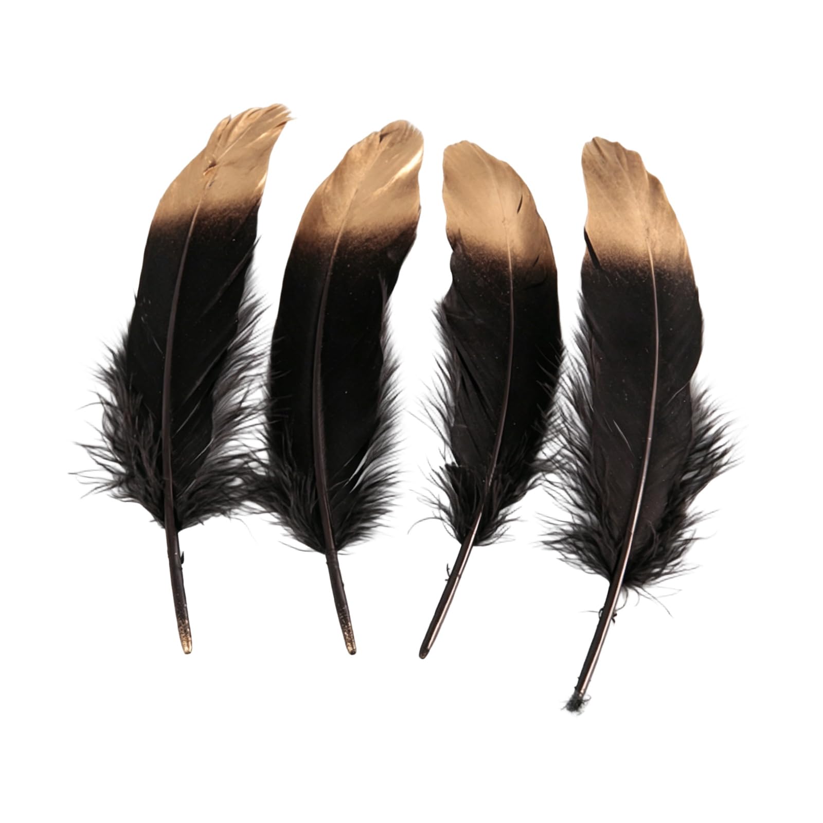 Sbshiouu 50Pcs Gold Sprayed Hard Colorful Plumage for Projects and Party Decorations Sewing Embellishment Quills