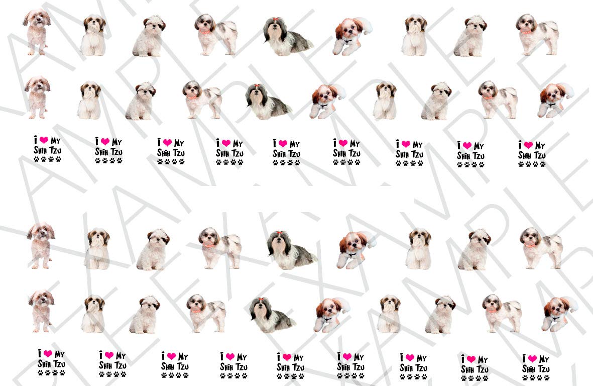 Shih Tzu Dog Water Nail Art Transfers Stickers Decals - Set of 56 - A1301