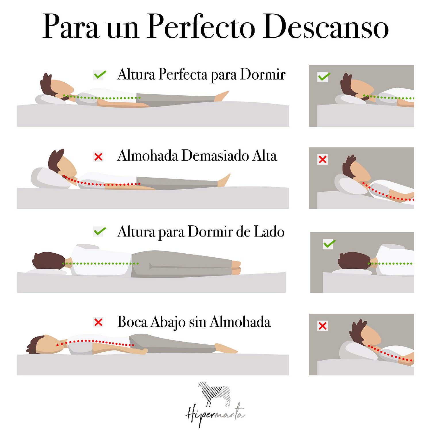 Set 2 Almohadas Viscoelasticas 90 cm Compactas con Cremallera. Almohadas Viscoelásticas Cama 180 cm. Funda Lavable. Firmeza Media. Transpirable. Modelo Aloe Vera