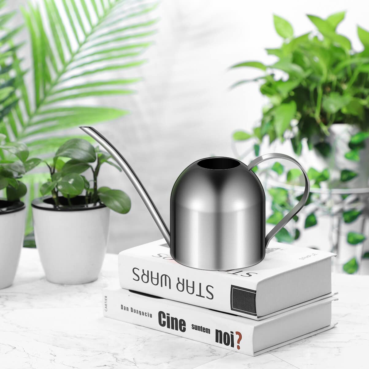 Annaffiatoio in acciaio inox, 1000 ml, annaffiatoio per fiori da giardino, vaso per piante, beccucci, annaffiatoio da giardino, per famiglia, ufficio, piante in vaso, bonsai (oro)