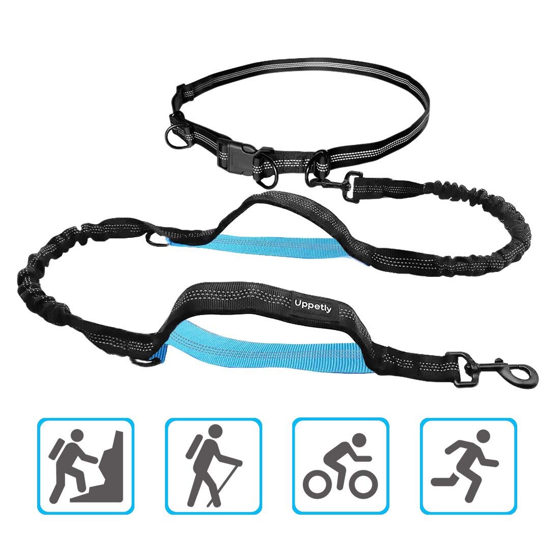 10 Best Dog Hands Free Leashes 2023 Reviews & Ratings