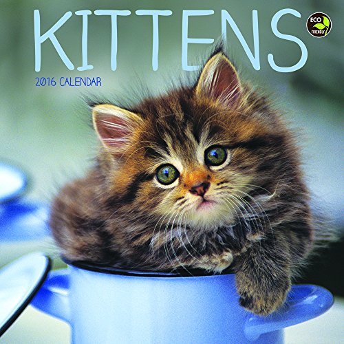2016 Kittens Mini Calendar