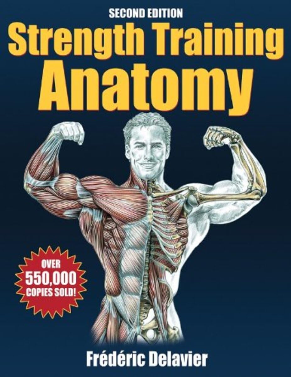 Strength Training Anatomy 2 4 Strength Training Anatomy 2