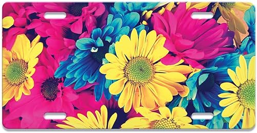 WIRESTER Placa decorativa frontal para automóvil, placa de matrícula novedosa para automóvil, SUV, camión, vehículo, metal de aluminio resistente, 6