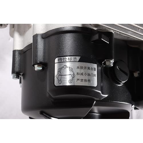 Miniatura 4 de X-PRO 250cc 4-Stroke 6 velocidades Contador equilibrado Dirtbikes Pit Bikes Zongshen Motor Motor con transmisión manual Arranque eléctrico