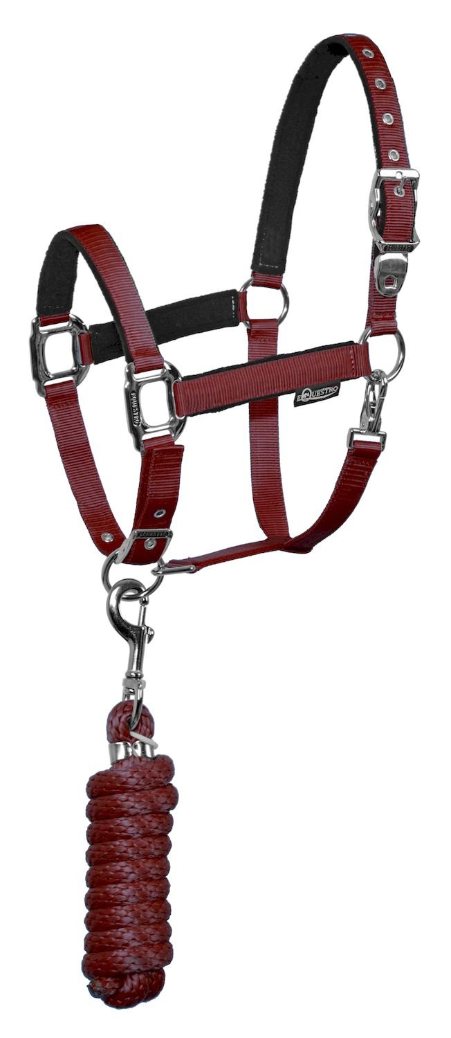 Cavezza a doppia regolazione con lunghina e imbottitura in pile fibbie satinate SHINY FITTINGS Pony