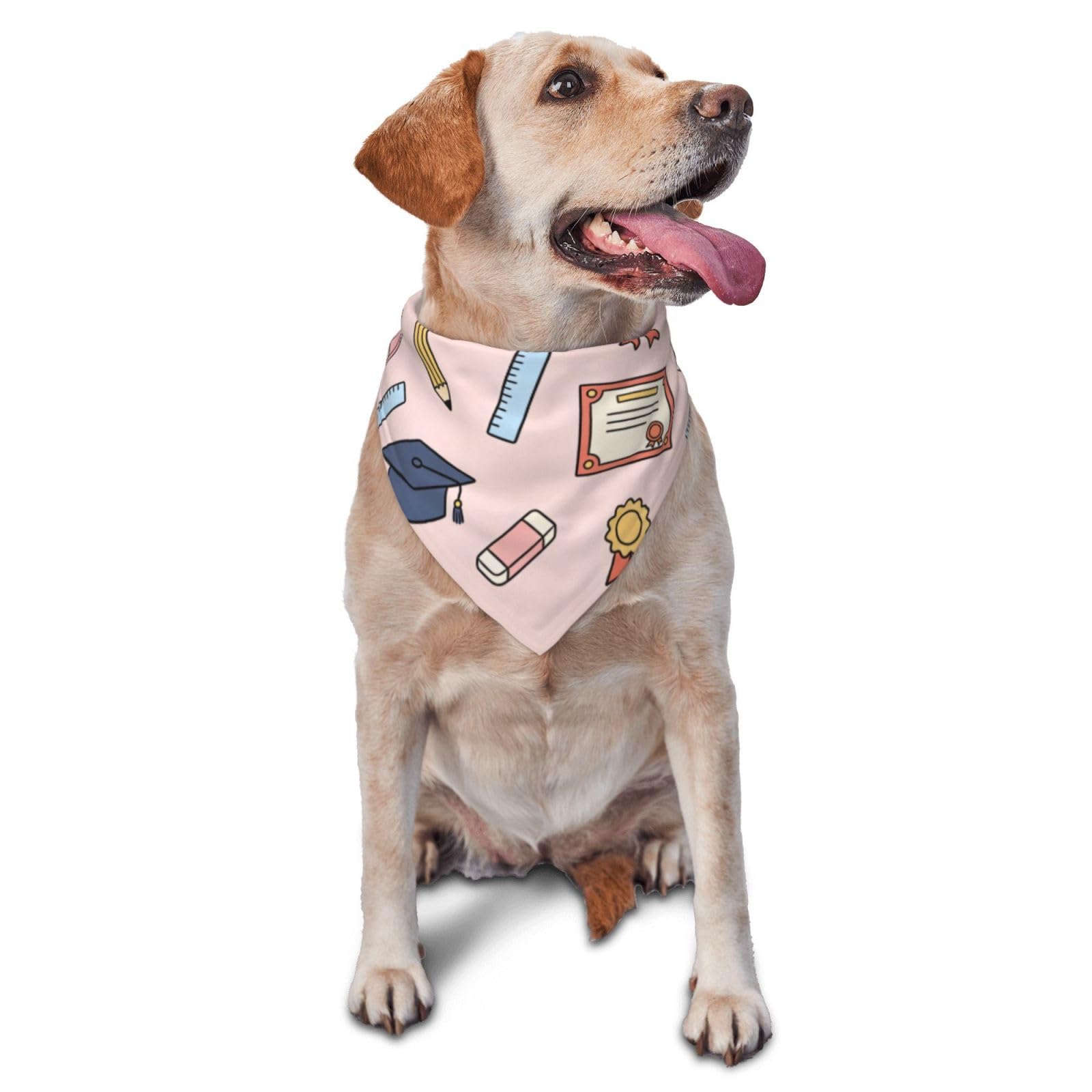 Bandana para perros y mascotas como divertido regalo para los amantes de los perros y dueños
