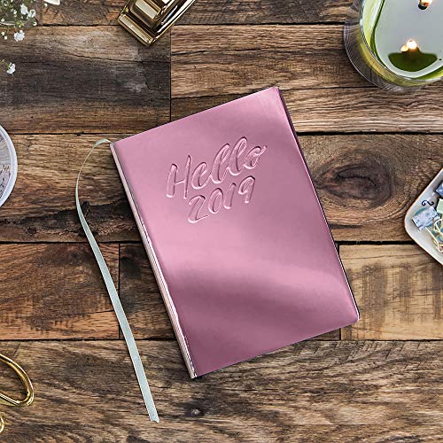 Orange Circle Studio 2019 Medium Leatheresque Weekly Agenda, August 2018 - December 2019, Hello Metallic Pink #TOP1