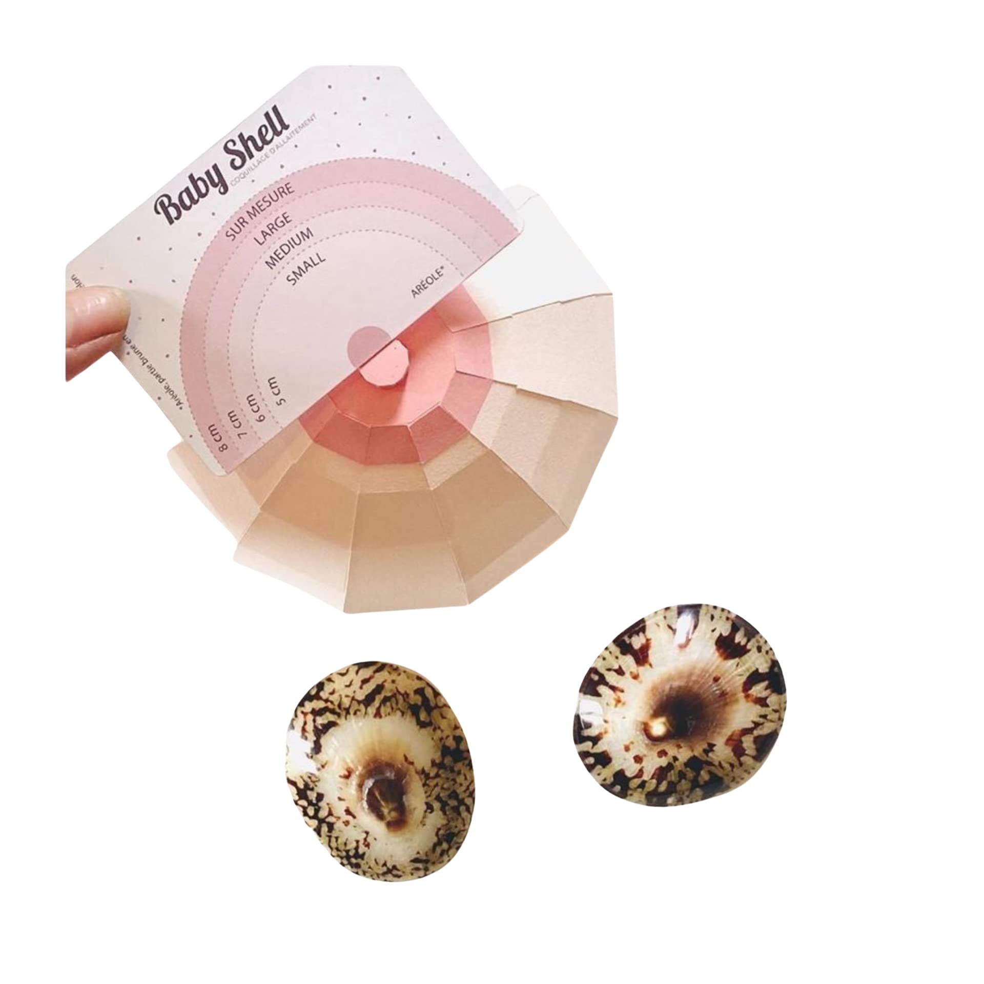 Coquillage d'allaitement Baby Shell - Coquille naturelle prévention et traitement des fissures | Taille Medium (Lot de 2 = 2 coquillages)