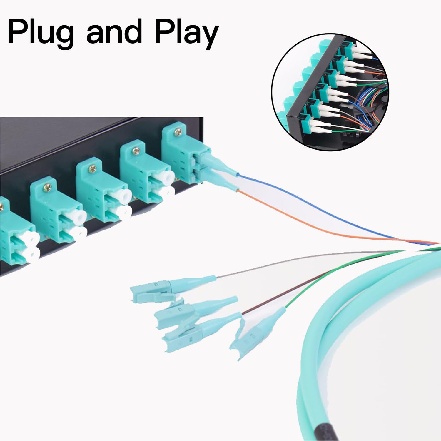 6-Port Fiber Optic Wall Mount Enclosure, OM3 Multimode LC-UPC, 12-Core Box with Pigtails, Black
