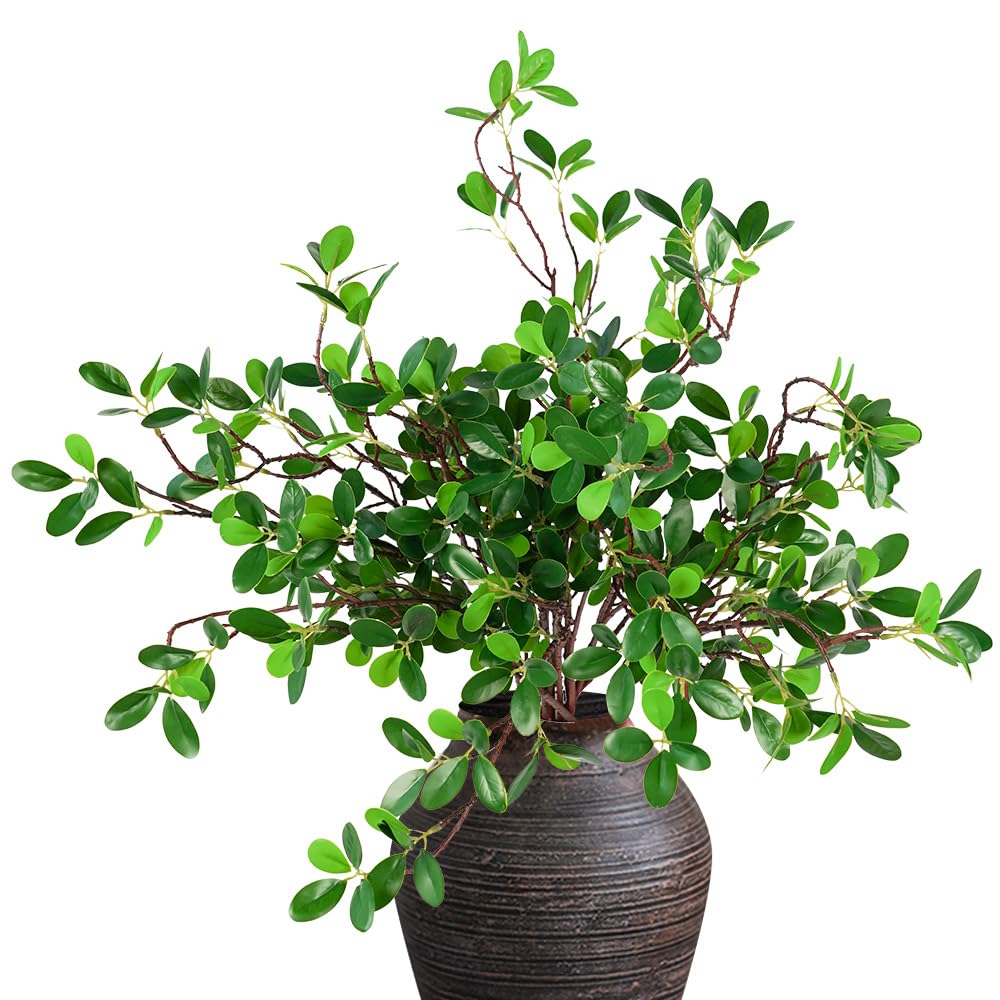 product_img5