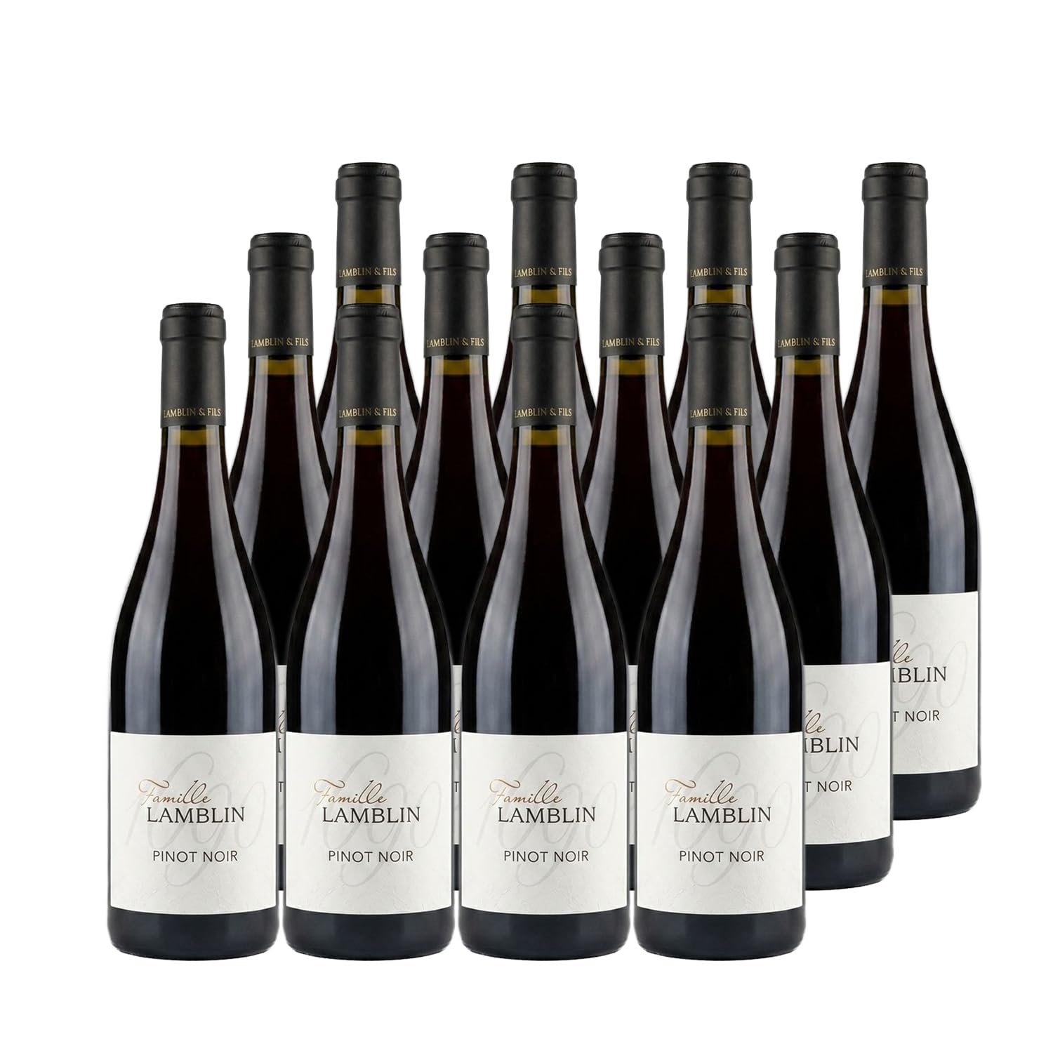 Pays d'Oc Pinot Noir tinto 2024 - Famille Lamblin - IGP - Languedoc Rosellón - Francia - Variedades de uva Pinot Noir - 12x75cl