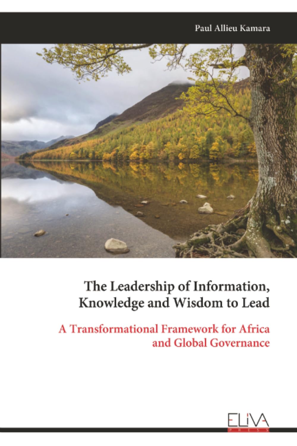 The Leadership of Information, Knowledge and Wisdom to Lead: A Transformational Framework for Africa and Global Governance