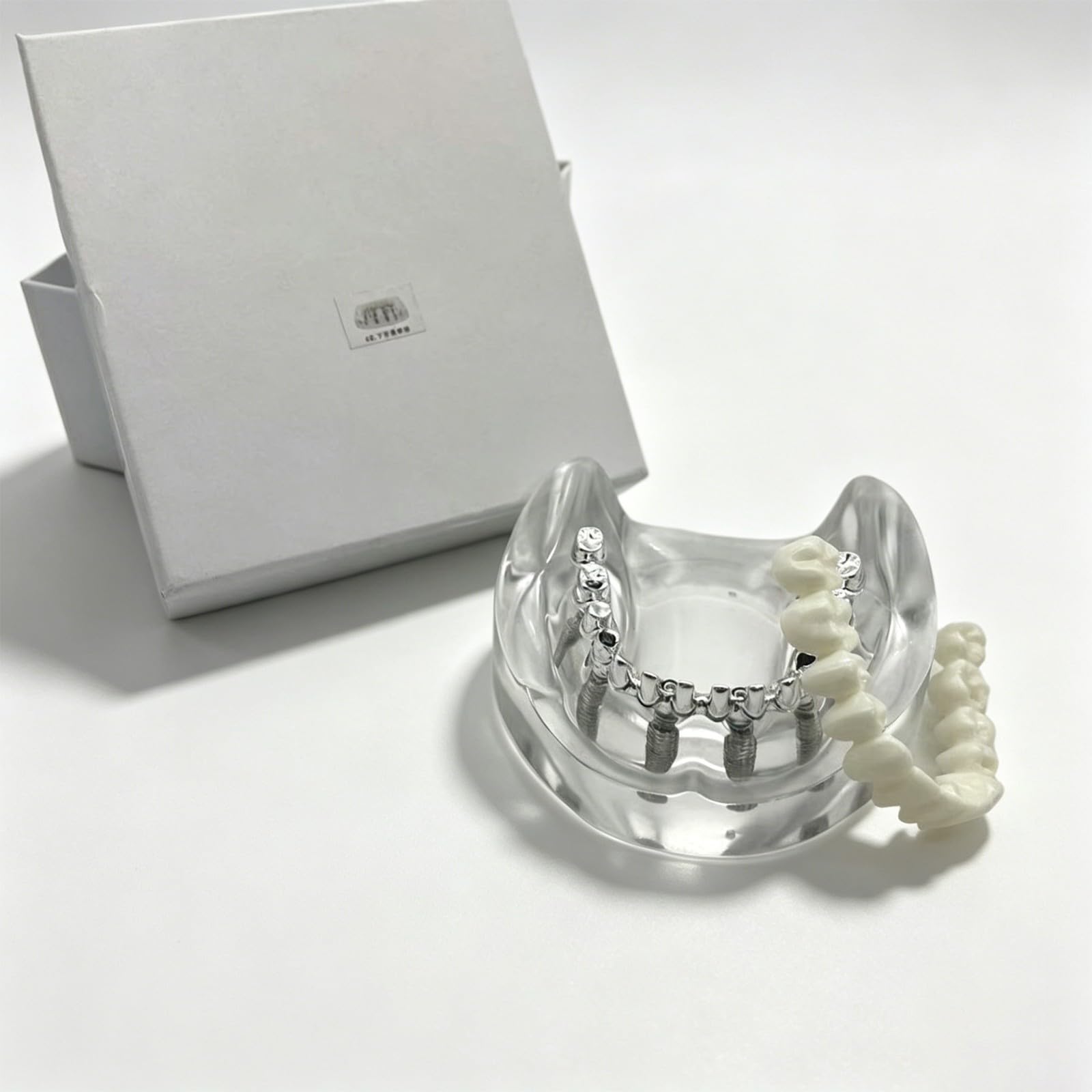 Modello di impianto dentale overdenture mascella inferiore rimovibile con 6 impianti per studio didattico - Strumento di dimostrazione della visione trasparente
