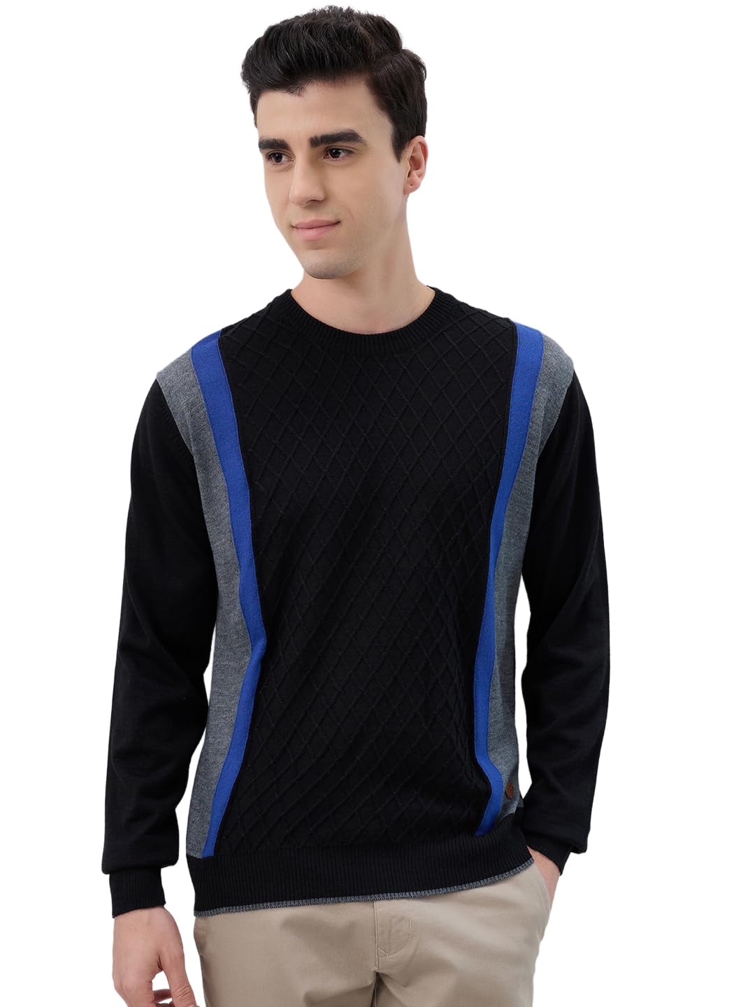 raymond Men Regular Fit Structure Cable Pattern Acrylic Wool Blend Full Sleeve Round Neck Casual Sweater Black-picture-24