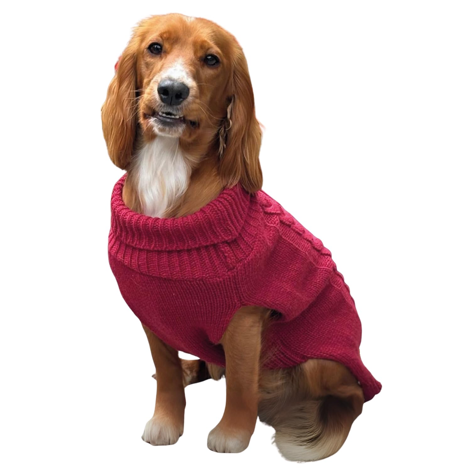HugglePets Cable Knit Winter Dog Jumper - Mulberry Red (Large 50cm) Deep Weave Dog Clothes with Under Body Protection, Short Sleeve Fit & Collar Hole. Machine Washable Sweater for Dogs & Pets.