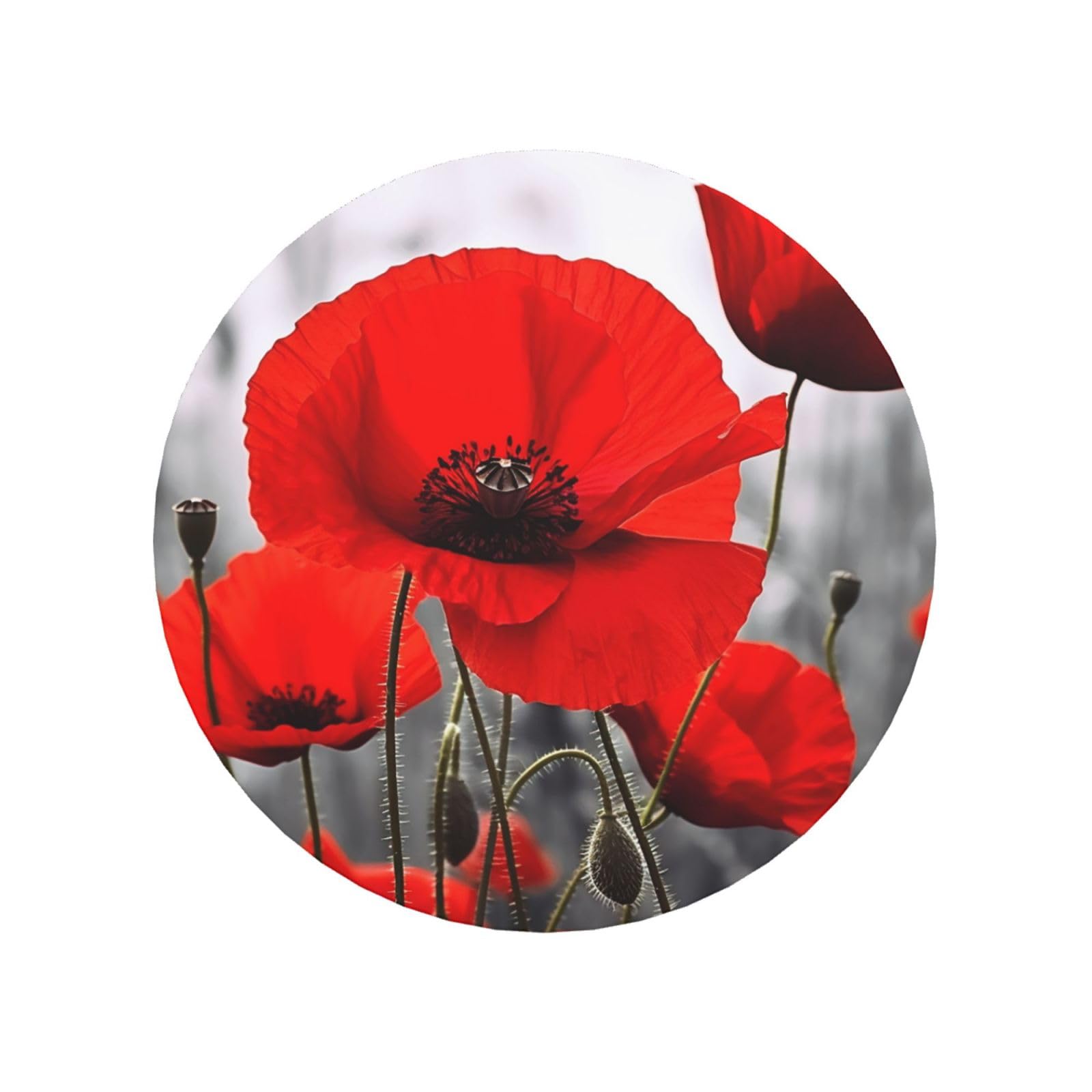 Fridge Magnets Waterproof Personalized Magnets for Fridge Red Poppy Flower Refrigerator Magnets Home Decoration Magnetic Sticker for Locker Accessories Whiteboard Kitchen Office Decor