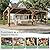 Jocisland 10' x 20' Spruce Wood Carport for 2 Cars, Outdoor Grill Gazebo with Hardtop Lean Roof, Wind & Snow Resistant, Heavy Duty Pergola for Garden, Patio, Backyard