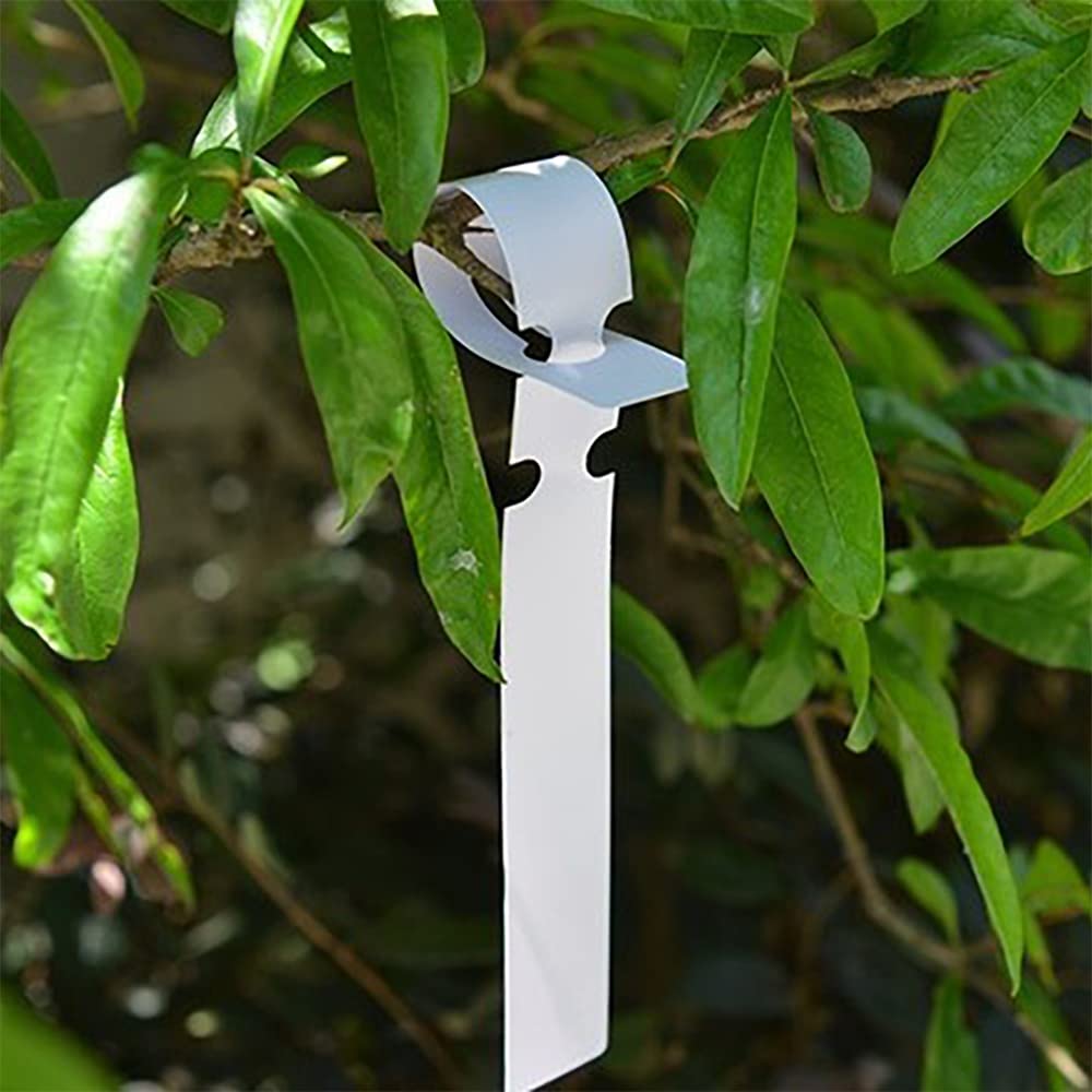 100 Etichette Per Piante In PVC - Targhette Impermeabili Regolabili Per Alberi, Fiori E Vivaio - Foto 4