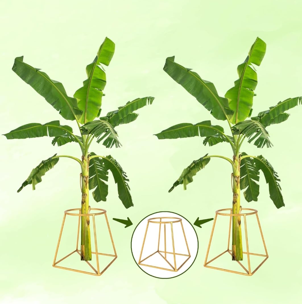 Crafties Art Iron Banana Plant Stand / Holder, 2-Piece, Durable, Stylish (B0DFYT581J) Amazon Price History, Amazon Price Tracker