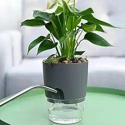 Vasos de flores autoirrigáveis, vasos autoirrigáveis para plantas de interior, vasos de plástico com corda de algodão absorvente (cinza, 8,2 x 11,3 cm)