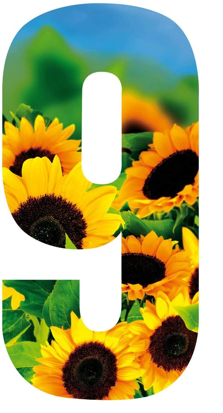 MONOGRAM Classic Signs x3 Wheelie Bin Number Sunflower 9