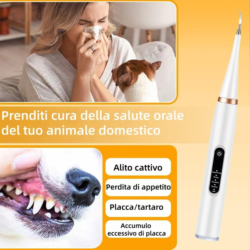 ZampaDent Dispositivo Professionale per la Pulizia Dentale del Cane-Kit Pulizia Denti per Cani e Gatti, 5 Modalità, Ricarica USB, Rimozione Tartaro e Macchie,Compact et pratique