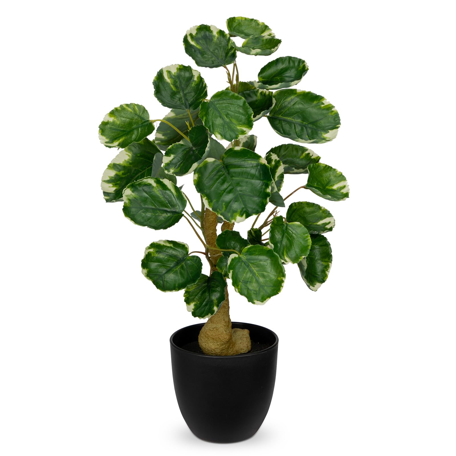 Hollyone 45CM Variegated Artificial Plant Fake Money Tree Indoor