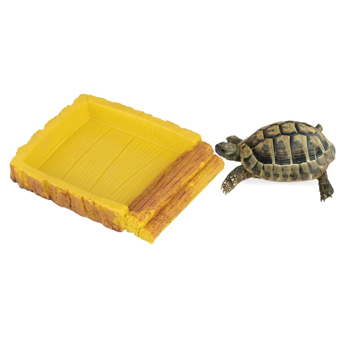 large tortoise water dish