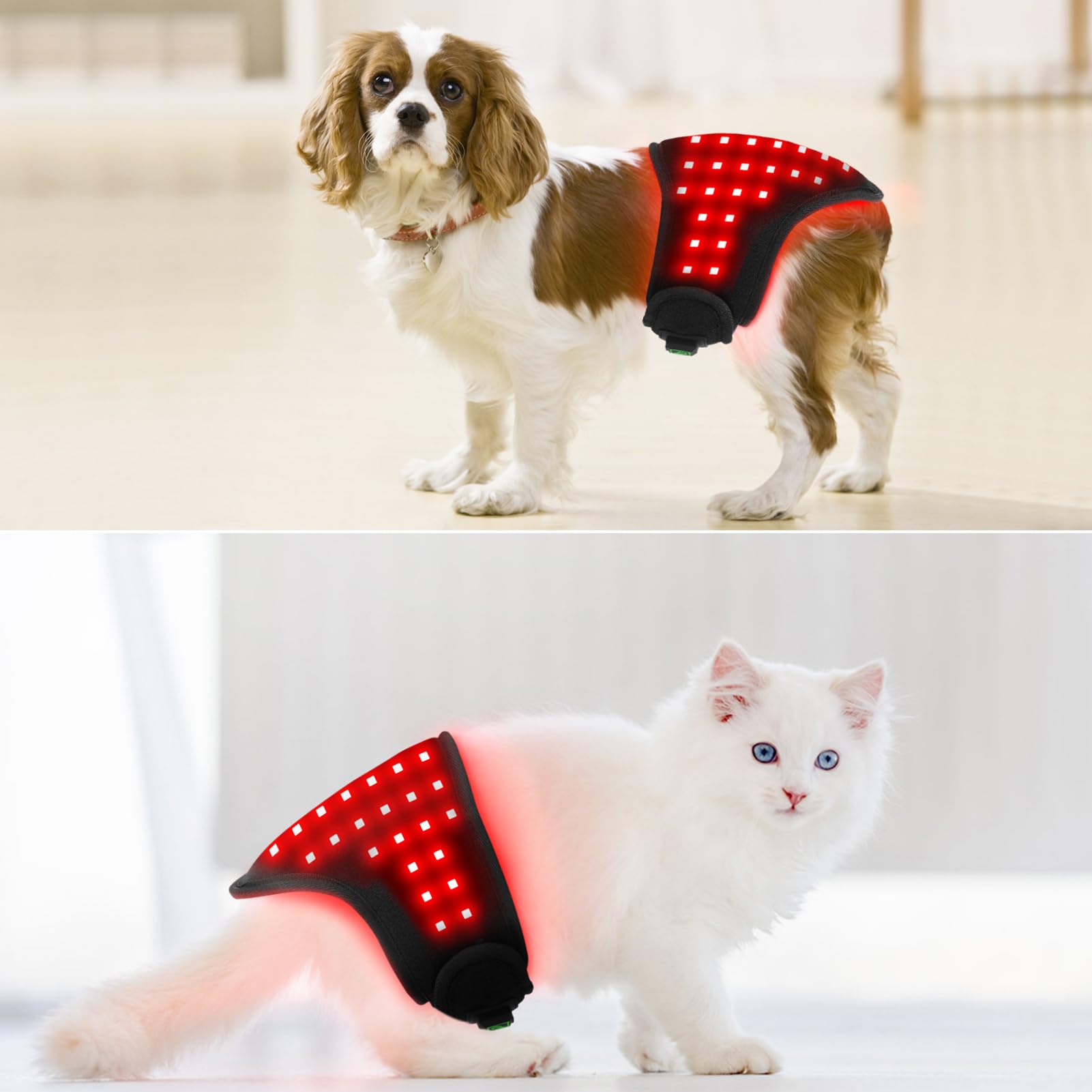 Dispositivo de Terapia física con luz roja, Longitud de Onda de 660 NM + 850 NM, Dispositivo portátil de Terapia con luz infrarroja, para la recuperación del Abdomen, glúteos