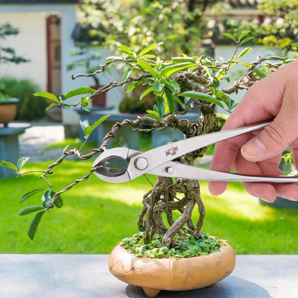 Zerodis Taglierina Bonsai, Forbici con Impugnatura ergonomica, Acciaio Inossidabile Resistente Usura e ruggine, Taglio concavo per Rami Piccoli Fiori Alberi da frutto Giardino