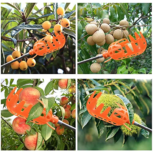Canasta recolectora de frutas de plástico miniatura 4