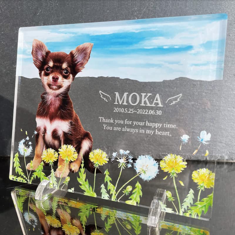 Amazon | ペット フォトプレート 【たんぽぽ】 犬 猫 愛犬 愛猫 ペット 