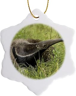 3dRose Brazil, Pantanal. Giant Anteater in Grass. 3 inch Snowflake Porcelain Ornament
