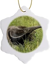 3dRose Brazil, Pantanal. Giant Anteater in Grass. 3 inch Snowflake Porcelain Ornament