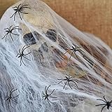 Halloween Spinnennetz...