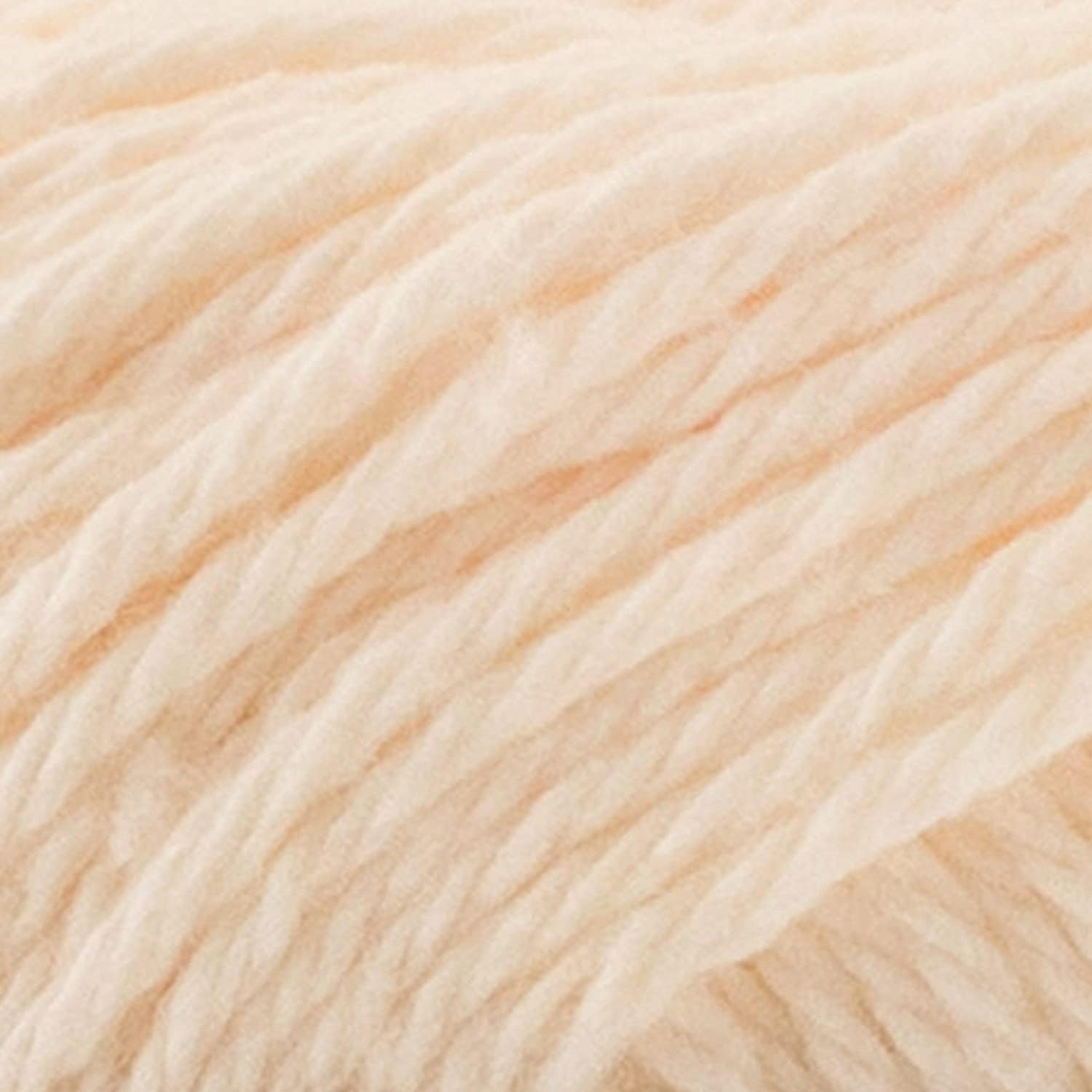 Lily Sugar'N Cream Soft Ecru Yarn - 6 Pack of 71g/2.5oz - Cotton - 4 Medium (Worsted) - 120 Yards - Knitting/Crochet