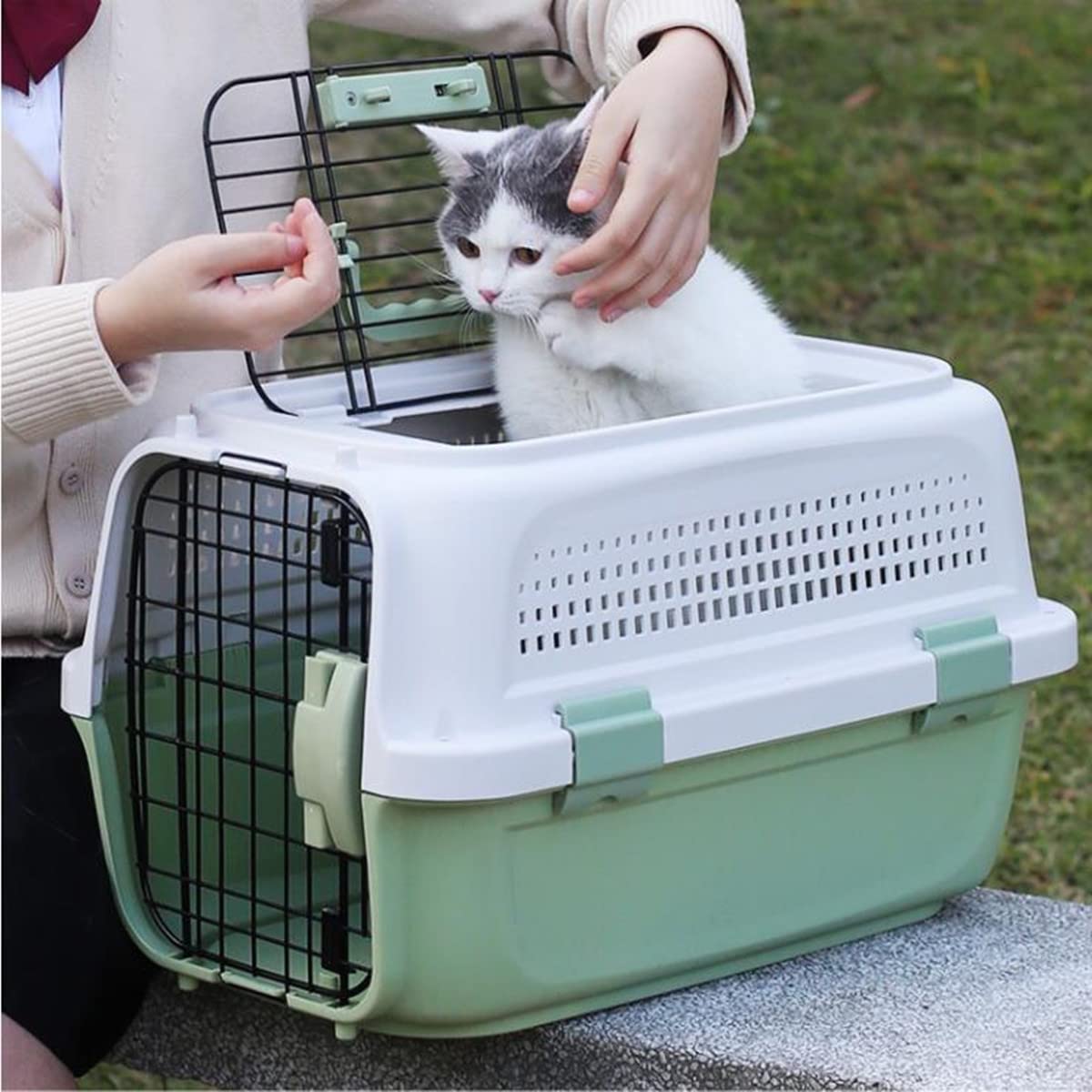 Amazon | ペットキャリー 猫 犬 スーツケース航空輸送ボックス 旅行