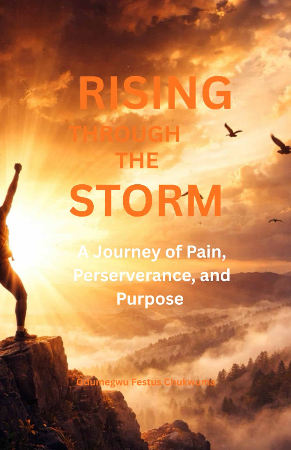 Rising Through the Storm: A Journey of Pain, Perseverance, and Purpose