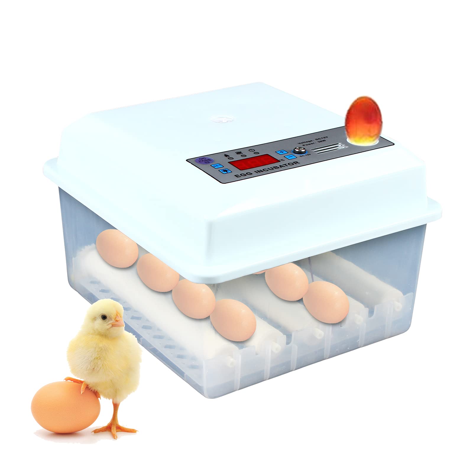 Incubatrice completamente automatica, 16 uova, mini incubatori automatici con controllo dell'umidità e della temperatura, per polli, anatre, quaglie, pappagalli