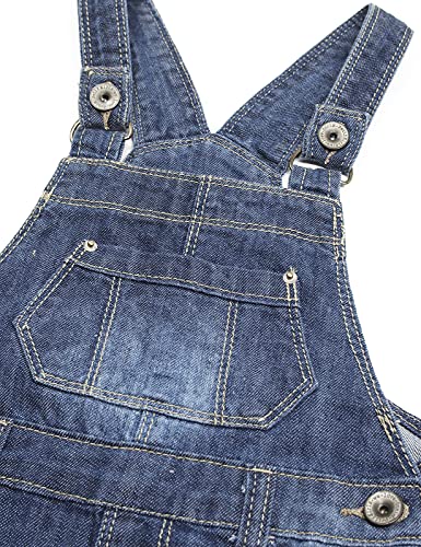 Image of KIDSCOOL SPACE Baby Little Girls Fox Flowers Embroidered Lace Denim Overall Dress