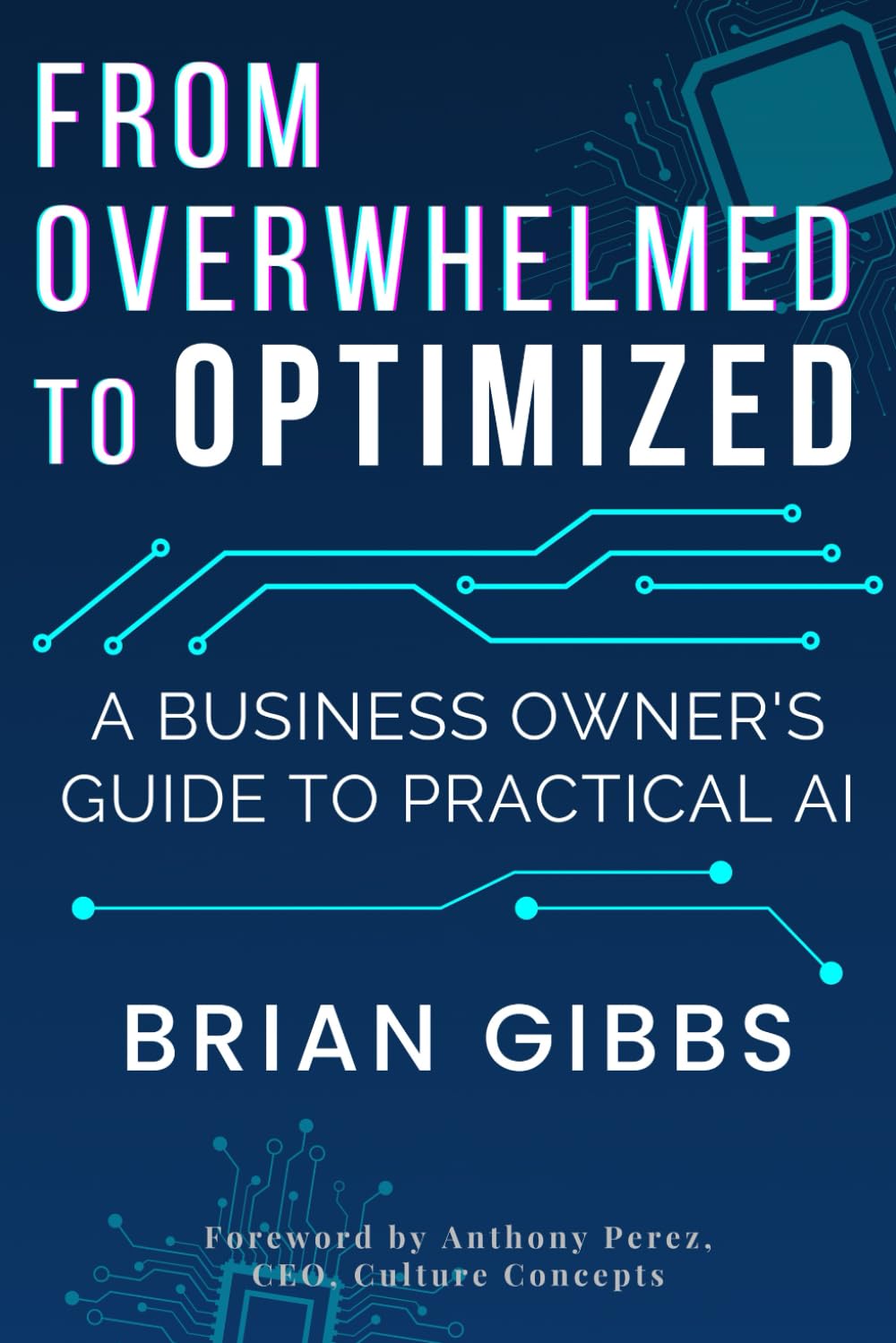 From Overwhelmed to Optimized: A Business Owner's Guide to Practical AI