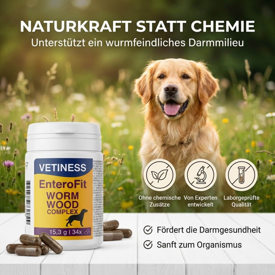 EnteroFit - Complejo de gusanos para perros – antigusanos secundarios – 34 cápsulas de ajenjo – alimento complementario para un ambiente intestinal antigusano – segrega las pastillas para