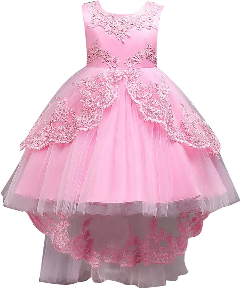 Girls Lace Embroidery Pageant Princess Dress Toddler High Low Tutu Gown Wedding Flower Girl Dresses